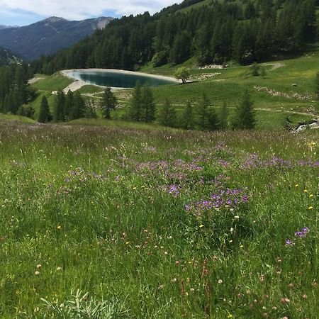 Studio Montagne ألو المظهر الخارجي الصورة