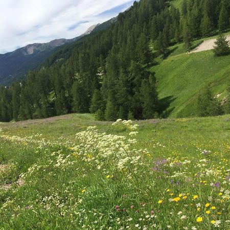 Studio Montagne ألو المظهر الخارجي الصورة