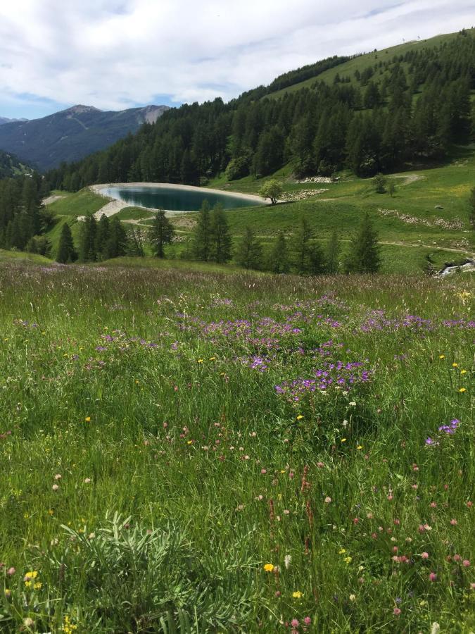 Studio Montagne ألو المظهر الخارجي الصورة