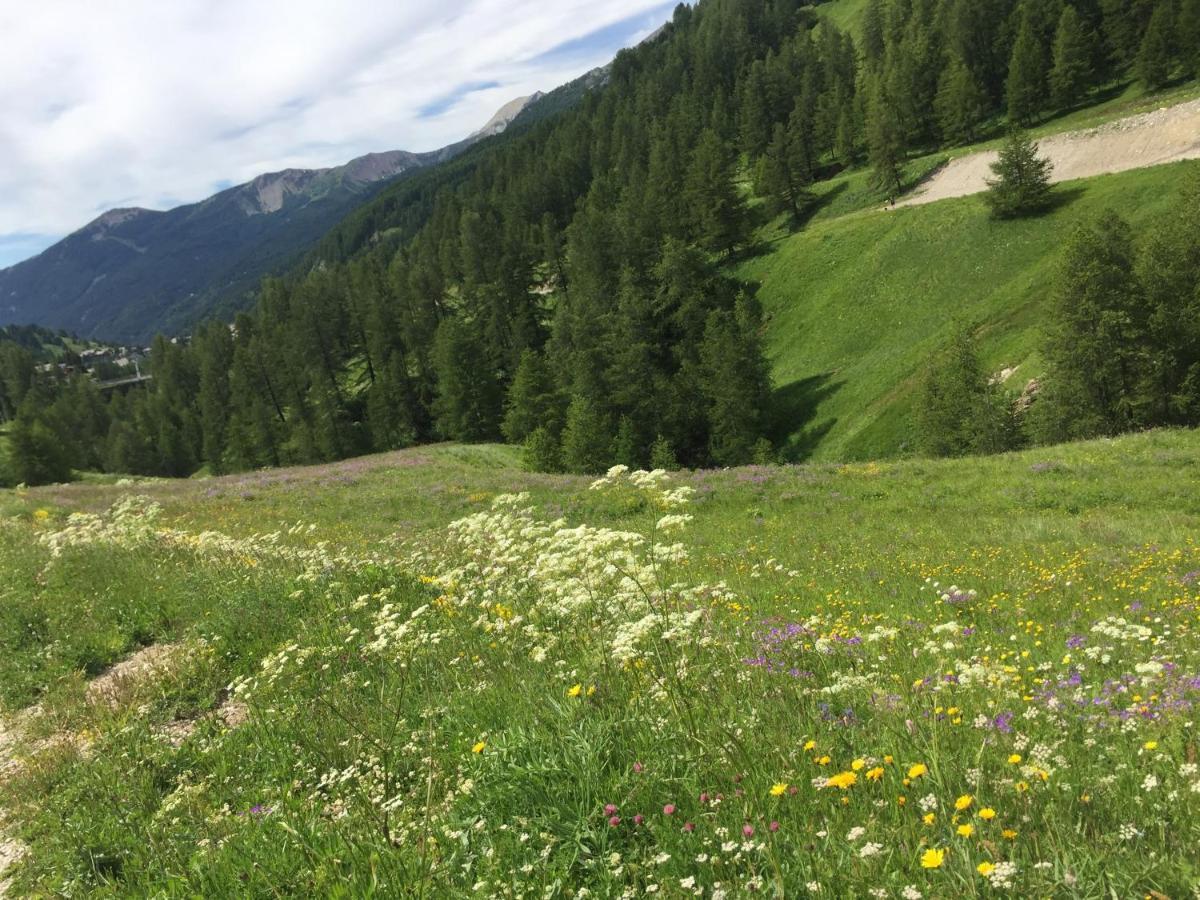 Studio Montagne ألو المظهر الخارجي الصورة